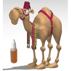 The Camel - 30ml/26mg